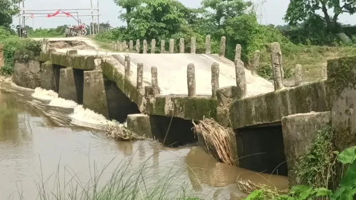 किशनगंज के बहादुरगंज में धंसा हुआ पुल। ( जागरण फोटो)