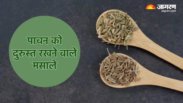 पाचन को दुरुस्त रखने वाले मसाले (Pic credit- freepik)