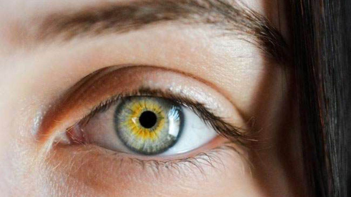 https://www.jagranimages.com/images/newimg/28062025/28_06_2025-blind_23969592_72821868.jpg