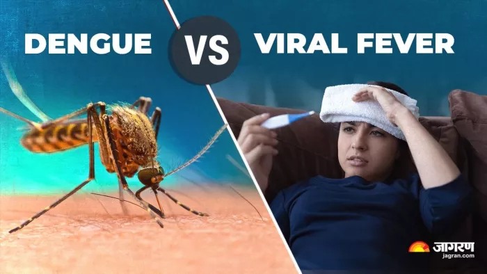 क्या है डेंगू और वायरल फीवर में अंतर? (Image Credit- Freepik)