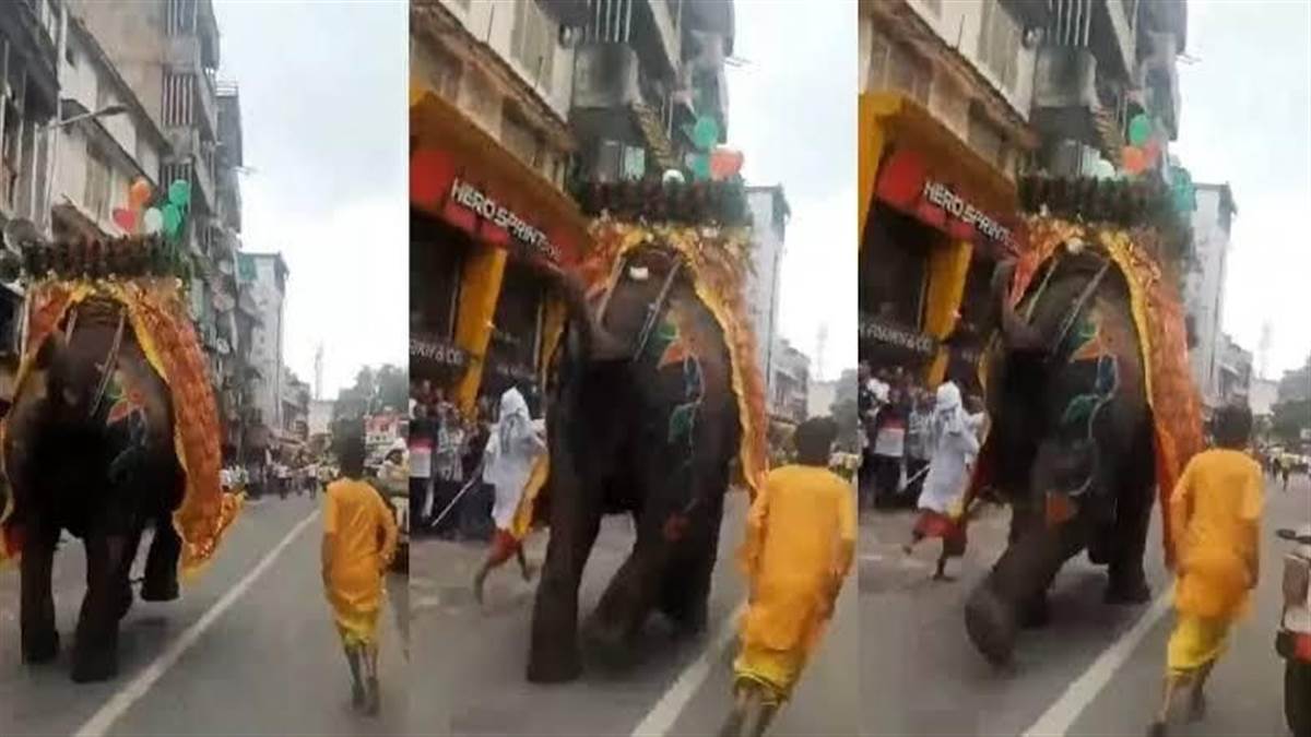 https://www.jagranimages.com/images/newimg/28062025/28_06_2025-elephant__23970162.jpg