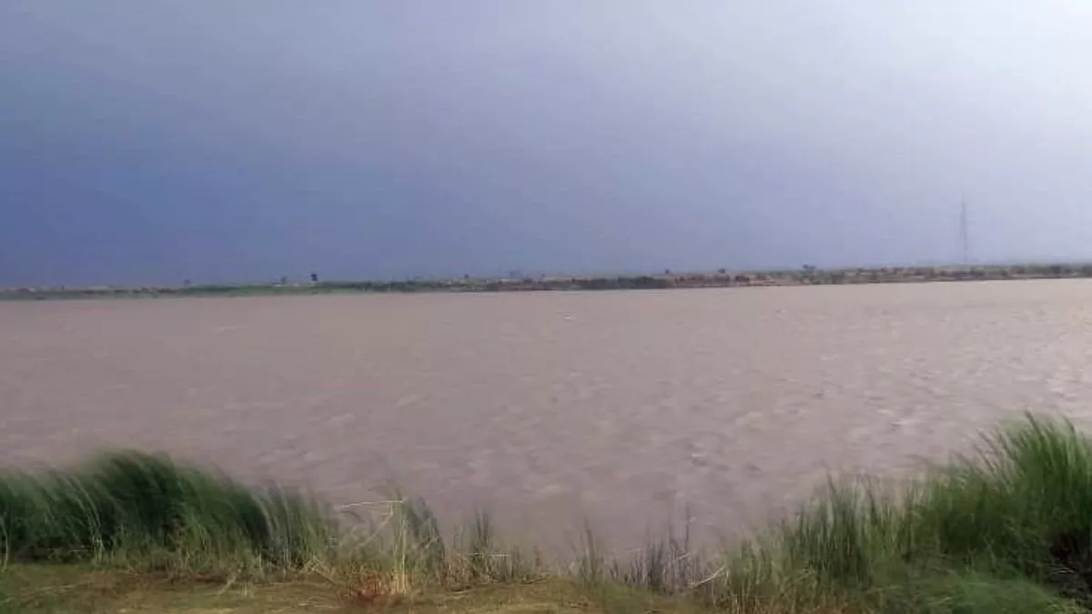 Yamuna Water Level: यमुना में जलस्तर बढ़ने से कूड़ेदान तक बह गए, क्या यूपी में आ सकती है बाढ़?