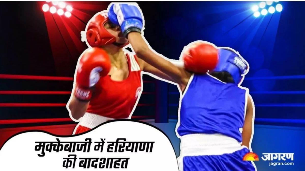 https://www.jagranimages.com/images/newimg/28062025/28_06_2025-haryana_boxer_23970119.jpg