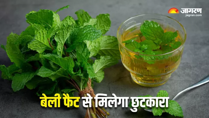 बेली फैट कम करने में मदद करेगा यह मैजिकल वॉटर (Image Source: Freepik)