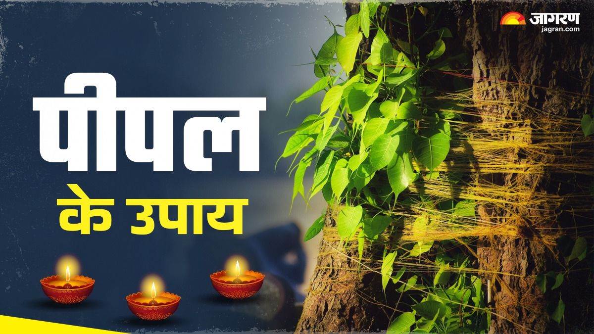 https://www.jagranimages.com/images/newimg/28062025/28_06_2025-peepal_ke_upay_5_23969734.jpg
