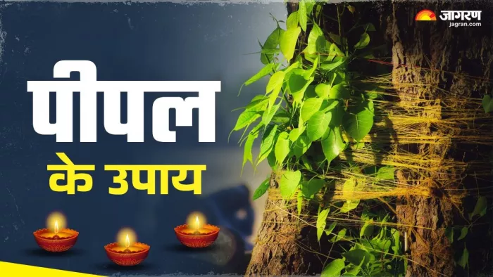 Peepal ke Upay: कैसे करें पितरों को प्रसन्न?