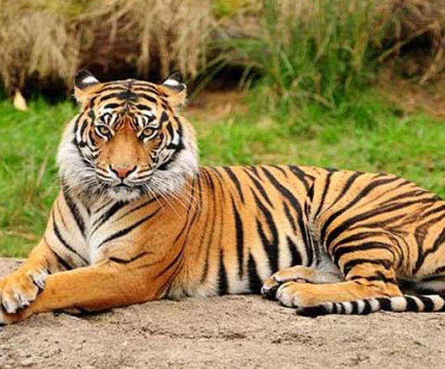 jagran