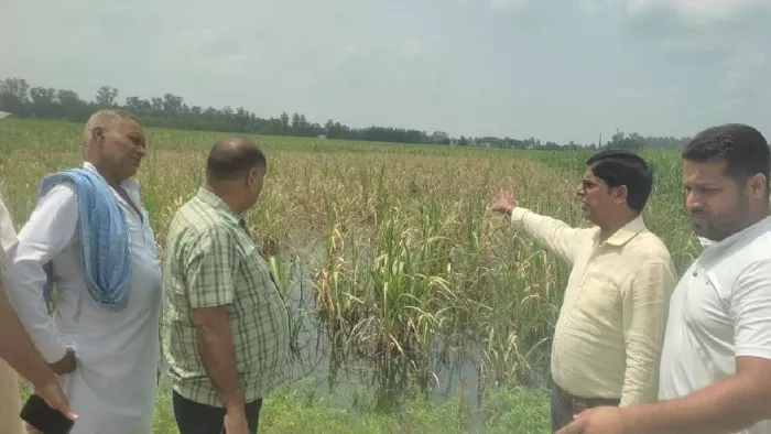 गन्ना आयुक्त ने नारसन क्षेत्र के 12 से अधिक गांव का किया दौरा