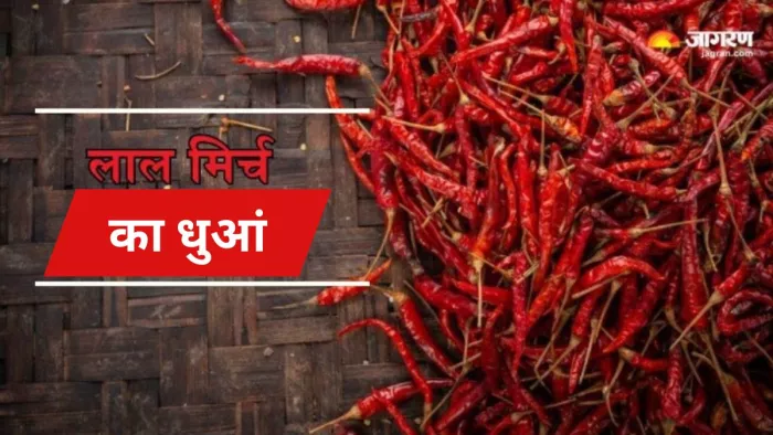 Bulandshahr News: खबर में सांकेतिक तस्वीर का इस्तेमाल किया गया है।
