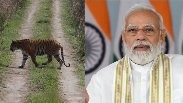 पीएम मोदी ने मन की बात में बाघमित्रों के काम की सराहना की है।