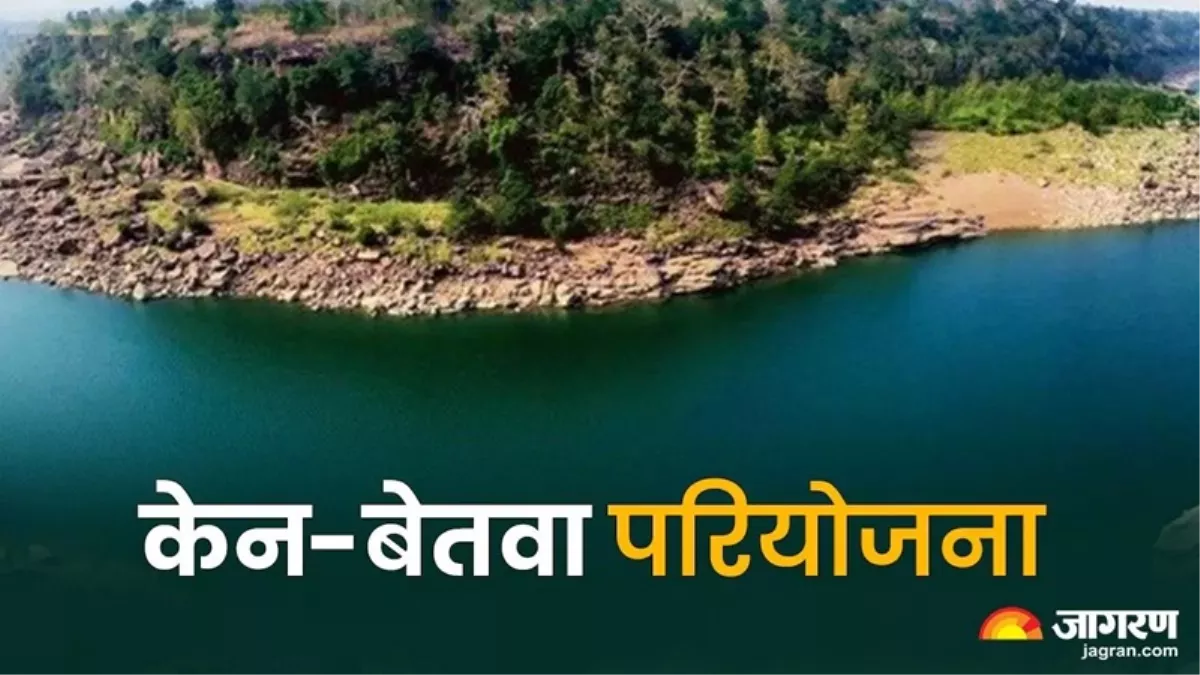 मध्य प्रदेश में काटे जाएंगे 17 हजार से अधिक पेड़, जल शक्ति राज्य मंत्री ने राज्यसभा में बताई वजह