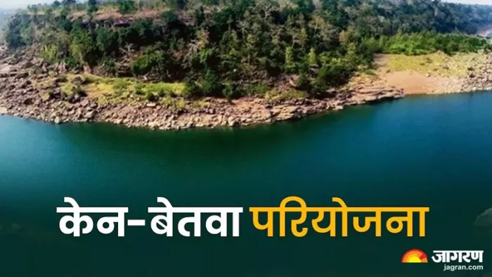 केन-बेतवा नदी जोड़ो परियोजना के लिए मध्यप्रदेश में 17 हजार से अधिक पेड़ काटे जाएंगे। (फोटो सोर्स: जागरण ग्राफिक्स)