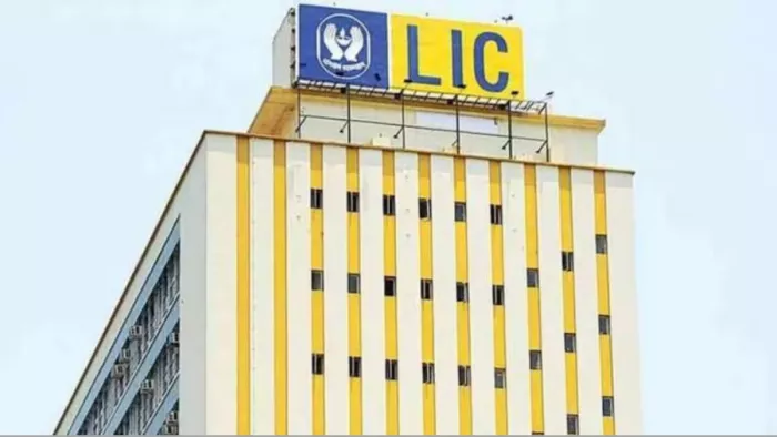 जुलाई में LIC के पोर्टफोलियो में शामिल शेयरों में काफी नुकसान हुआ है।