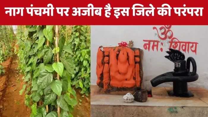 Nag Panchami 2025: नागौरियां मंदिर में विराजमान भगवान भोलेनाथ। जागरण