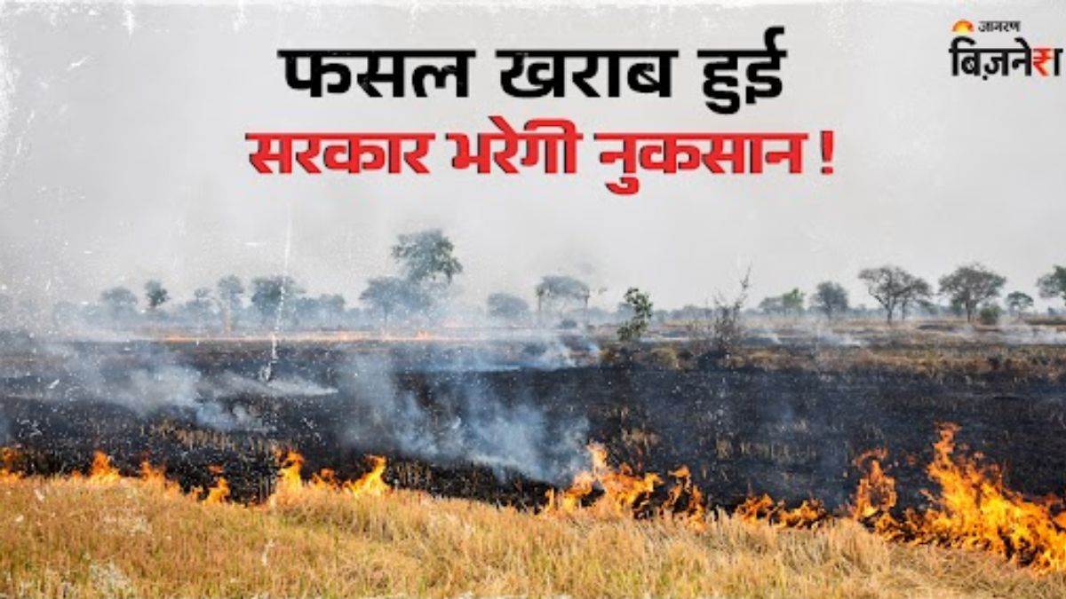 https://www.jagranimages.com/images/newimg/28072025/28_07_2025-pm_bima_fasal_yojana_23996411.jpg
