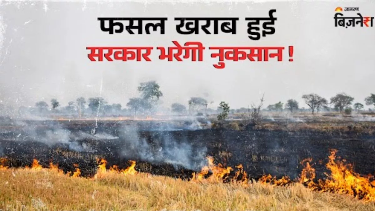 PM Fasal Bima Yojana: फसल खराब होने पर सरकार देगी पैसा, कैसे करें अप्लाई, क्या है योग्यता?