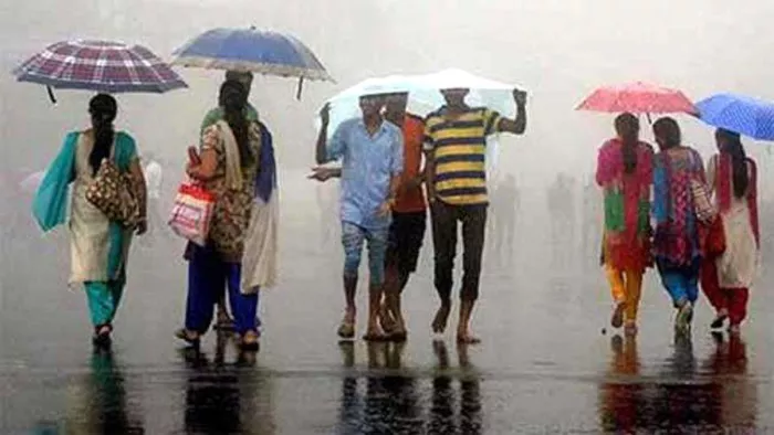 Weather Update: बिहार के भागलपुर में मानसून की बारिश पूरे रौ में हो रही है।