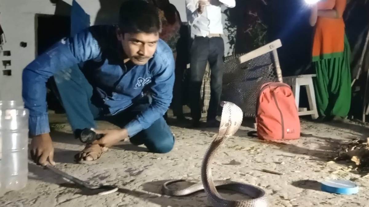 https://www.jagranimages.com/images/newimg/28072025/28_07_2025-snake_23996646.jpg