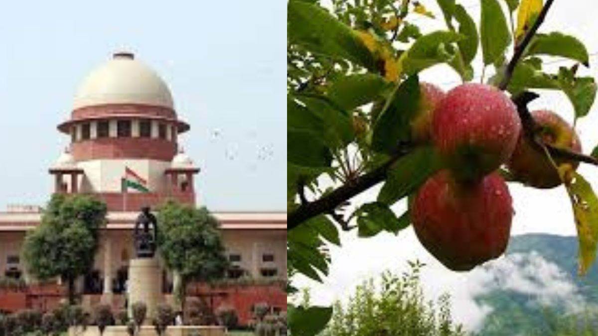 https://www.jagranimages.com/images/newimg/28072025/28_07_2025-supereme_court_ban_apple_cuting_23996498.jpg