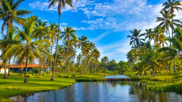 Wayanad Tourist Places: वायनाड में घूमने वाली खूबसूरत जगहें