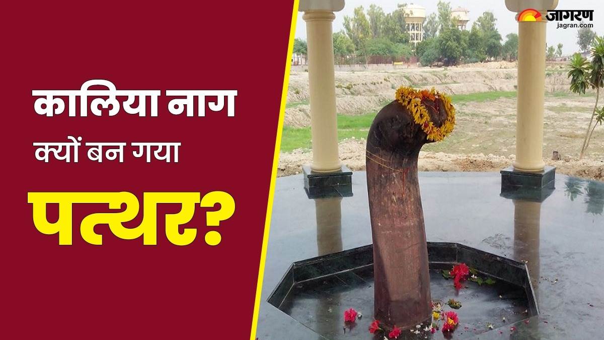 shri krishna leela kaliya nag had turned into stone due to the curse