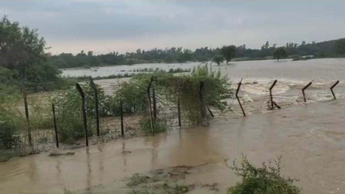 https://www.jagranimages.com/images/newimg/28082025/28_08_2025-border_flood_24028454.jpg