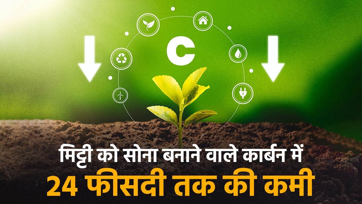 https://www.jagranimages.com/images/newimg/28082025/28_08_2025-carbon-soil-25-percent-down_24027704.jpg