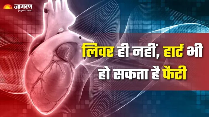 क्या है फैटी हार्ट? जानें कारण, लक्षण और बचाव के तरीके (Picture Credit- Freepik)