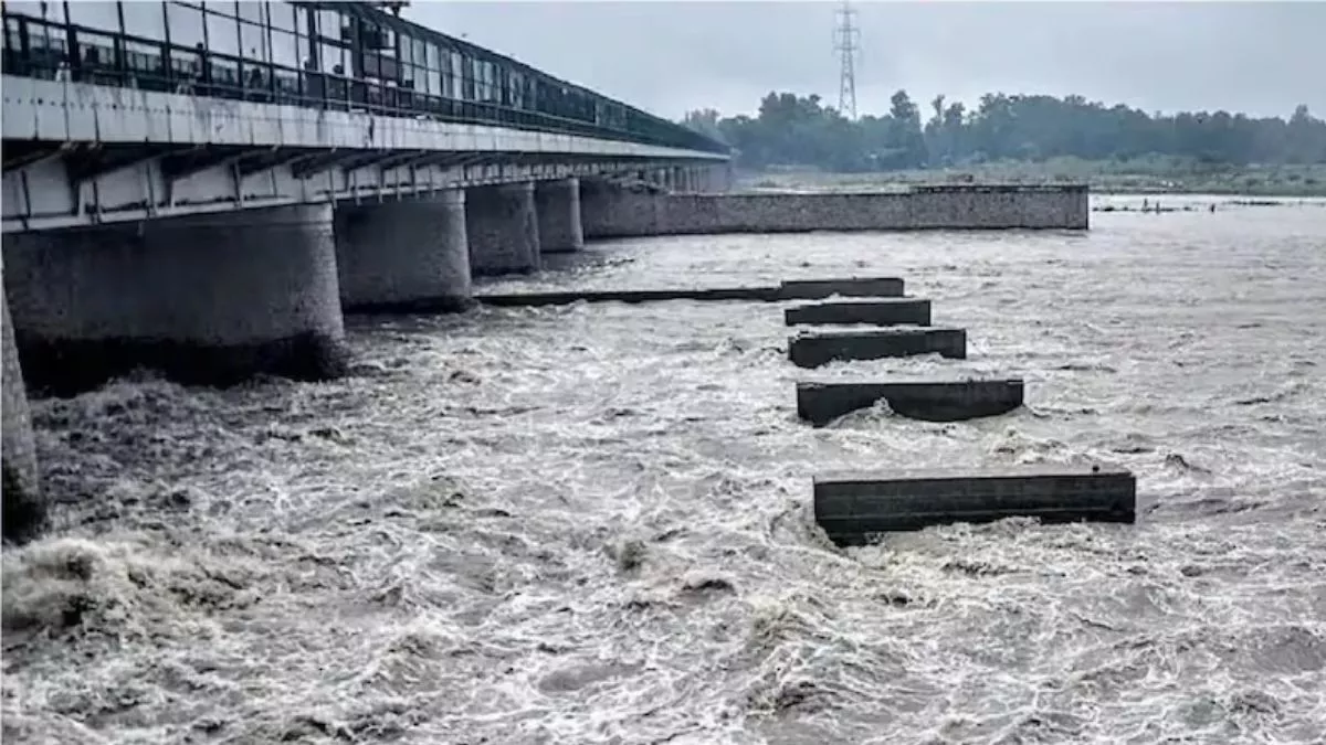 हिमाचल-पंजाब में भारी बारिश जारी, खोले गए भाखड़ा और पौंग बांध के गेट; ब्यास और सतलुज में बाढ़ का खतरा