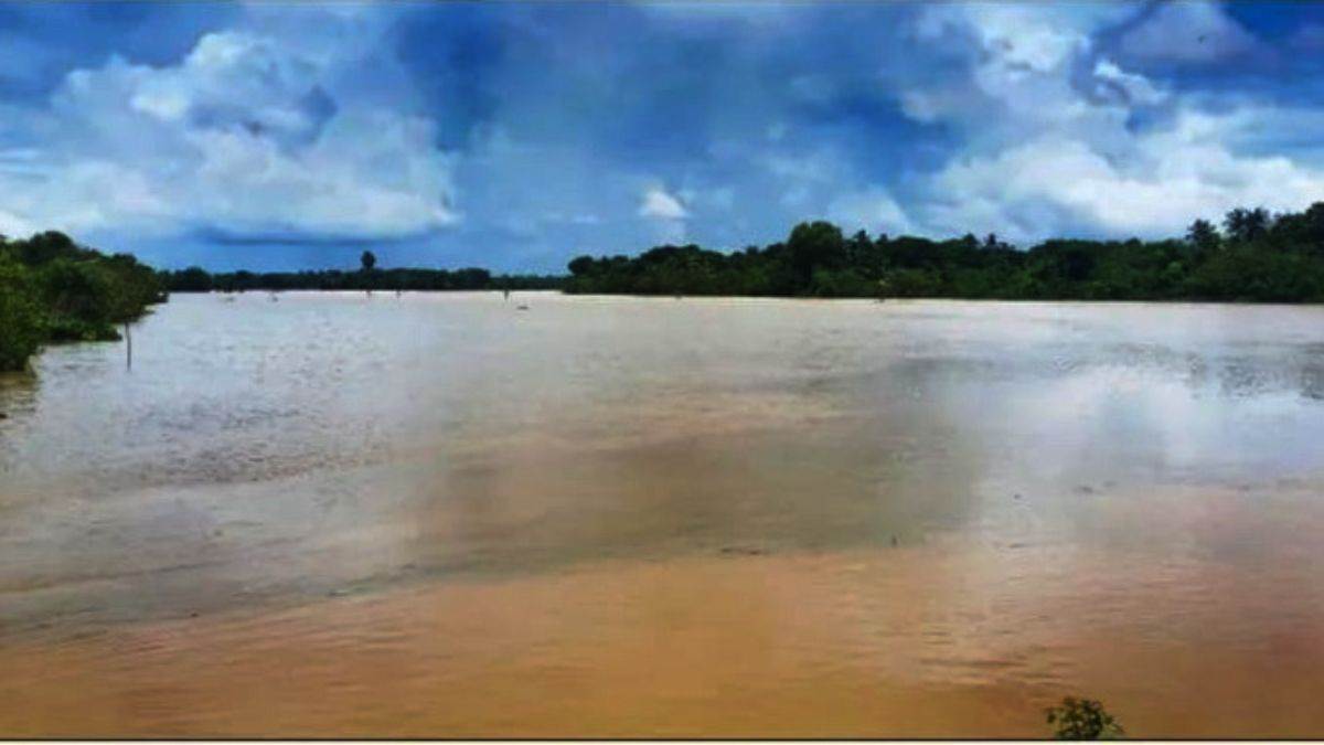 https://www.jagranimages.com/images/newimg/28082025/28_08_2025-swarnrekh_nadi_24027548.jpg