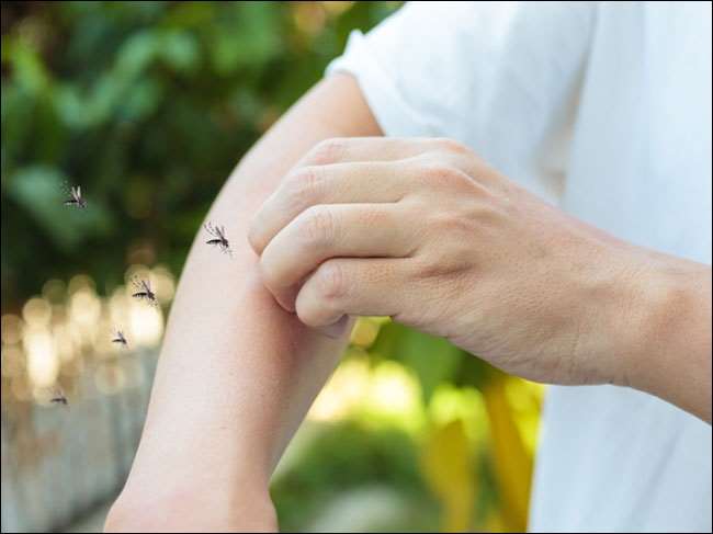 https://www.jagranimages.com/images/newimg/28092021/28_09_2021-dengue_22063108.jpg