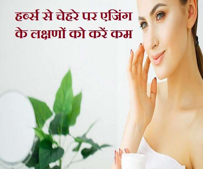 https://www.jagranimages.com/images/newimg/28092021/28_09_2021-skin_care_herbs_22063025_153220684.jpg