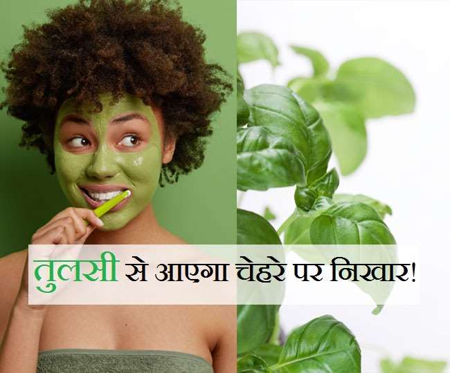 Tulsi For Skin: कुछ ही दिनों में चमक उठेगा चेहरा, ऐसे बनाएं तुलसी से फेस पैक - 5 Ways Tulsi Leaves Can Help You Get Healthy And Glowing Skin