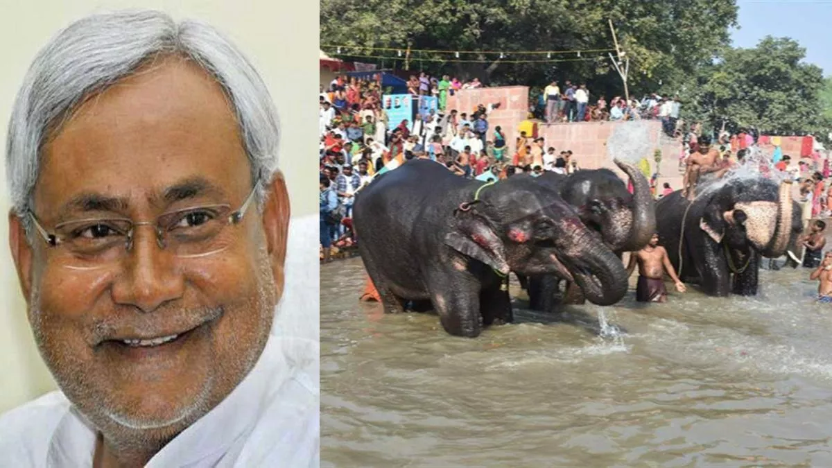17 वर्षों बाद एक बार फिर नीतीश करेंगे विश्‍वप्रसिद्ध सोनपुर मेले का उद्घाटन,  तैयारियों में जुटा प्रशासन - After 17 years CM Nitish Kumar will once again  inaugurate the ...