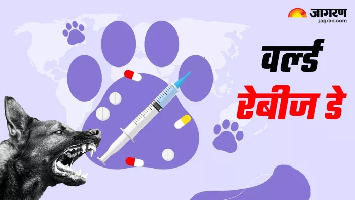 कुत्ते के काटने पर एंटी रेबीज वैक्सीन लेना है जरूरी।
