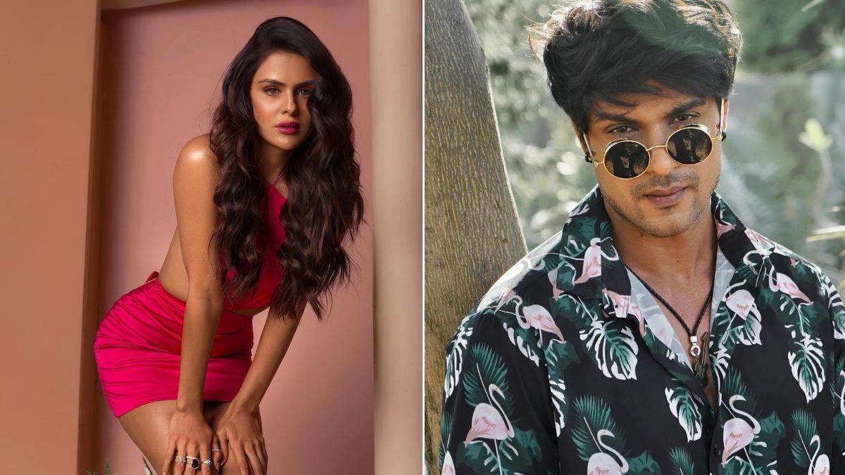 bigg boss 16 fame priyanka chahar choudhary shares latest pics ankit gupta react on it
