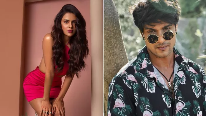 प्रियंका चाहर की फोटो पर अंकित गुप्ता ने किया ये कमेंट (Photo Credit-Instagram)