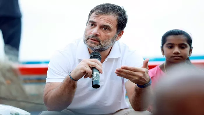 बीजेपी ने राहुल गांधी पर निशाना साधा है (फाइल फोटो)