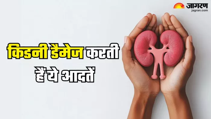 किडनी खराब करती हैं ये आदतें (Picture Credit- Freepik)