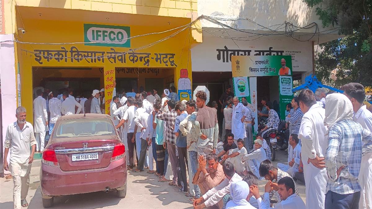 a scramble for dap erupted in fatehabad with farmers abandoning all work upon receiving word of the arrival of 5000 bags of fertilizer