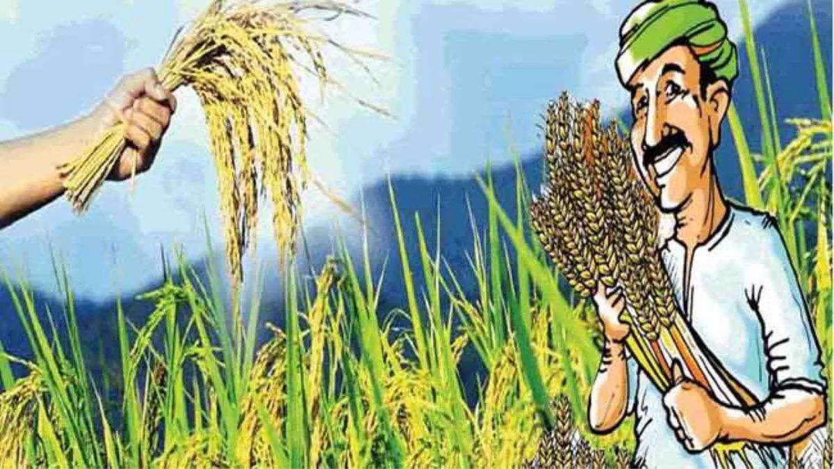 https://www.jagranimages.com/images/newimg/28092025/28_09_2025-paddy_seeds_1_24062910_104651205.jpg
