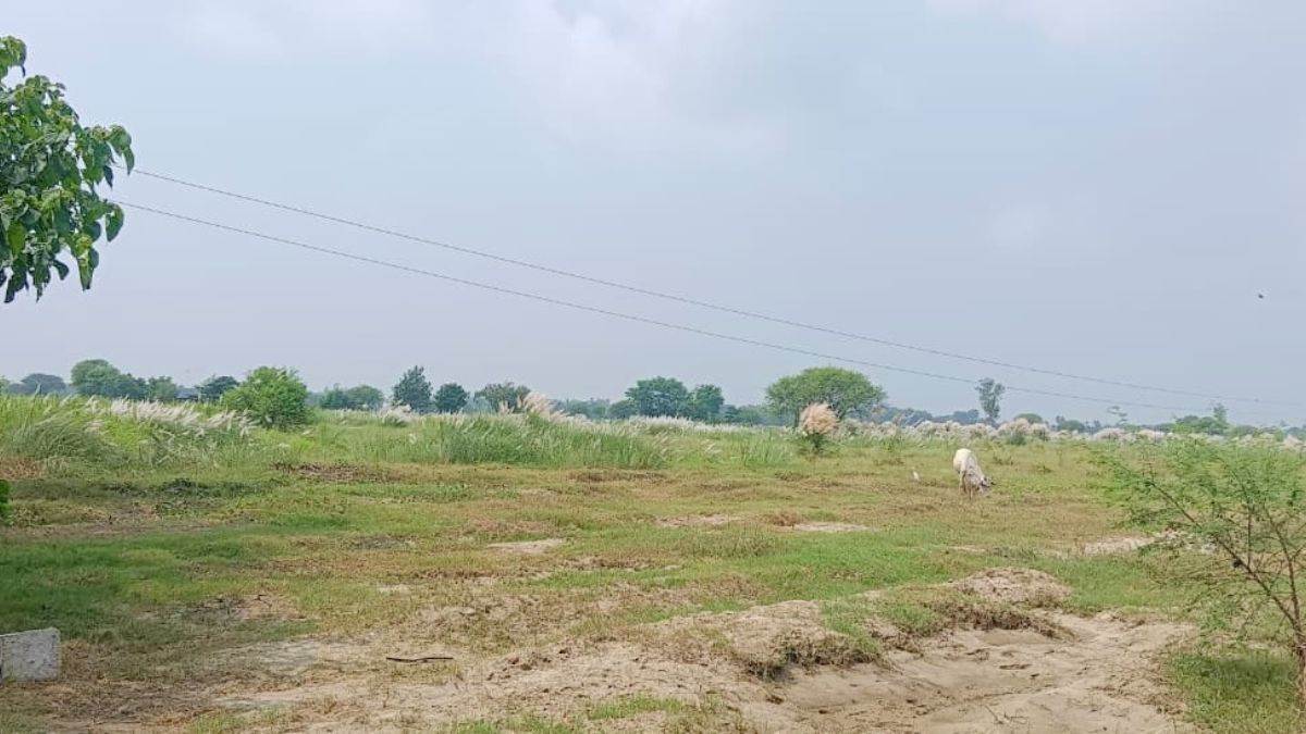 https://www.jagranimages.com/images/newimg/28092025/28_09_2025-shravasti_news_24063244.jpg