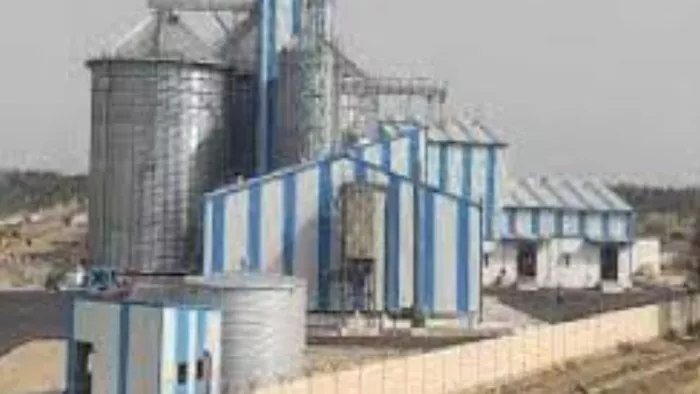 जाल की रस्सी टूटने से तीन मजदूर दबकर घायल। जागरण