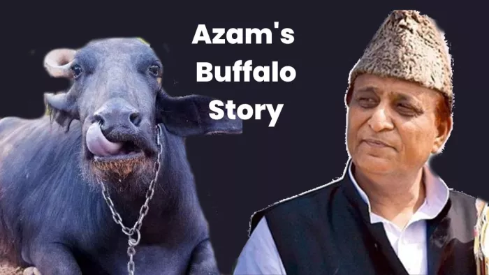 Azam Khan News : सपा शासन में आजम खां की भैंसों का भी था रुतबा