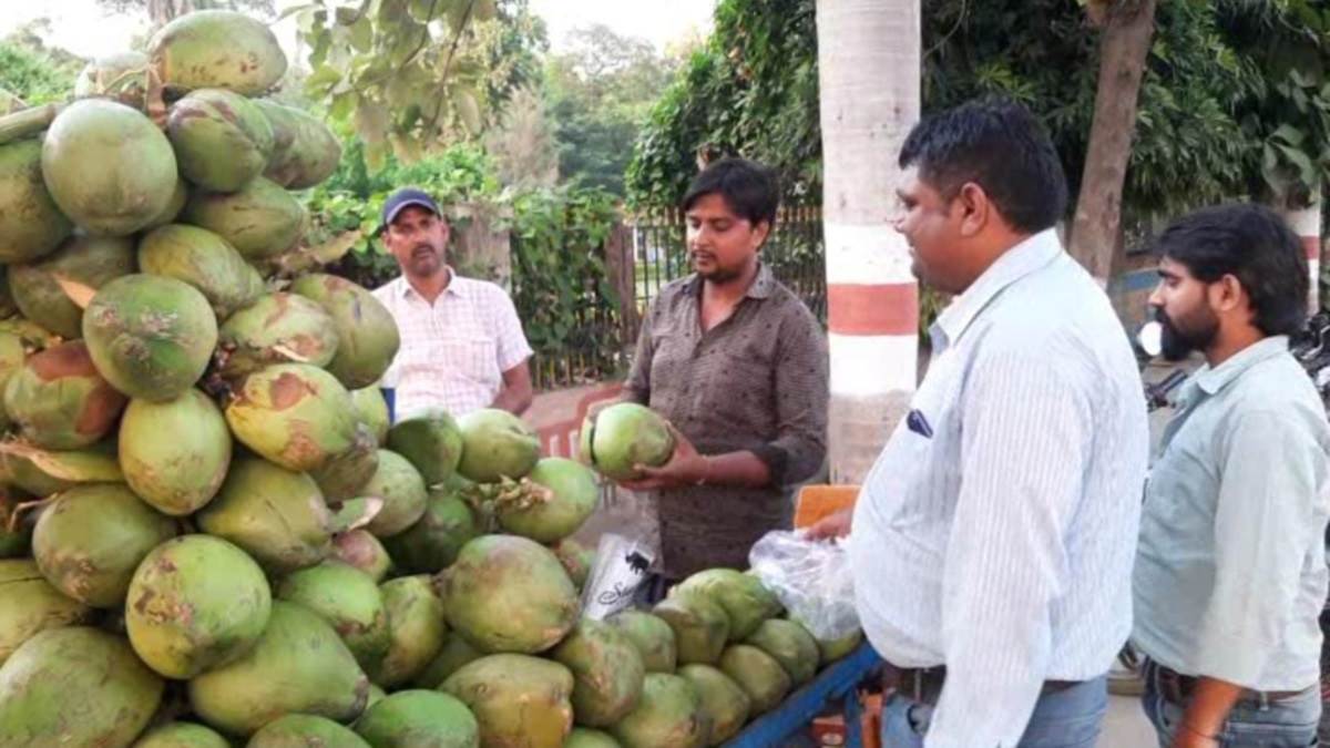 नारियल पानी और कीवी फल प्लेटलेट बढ़ाता है, डेंगू मरीजों के लिए लाभकारी