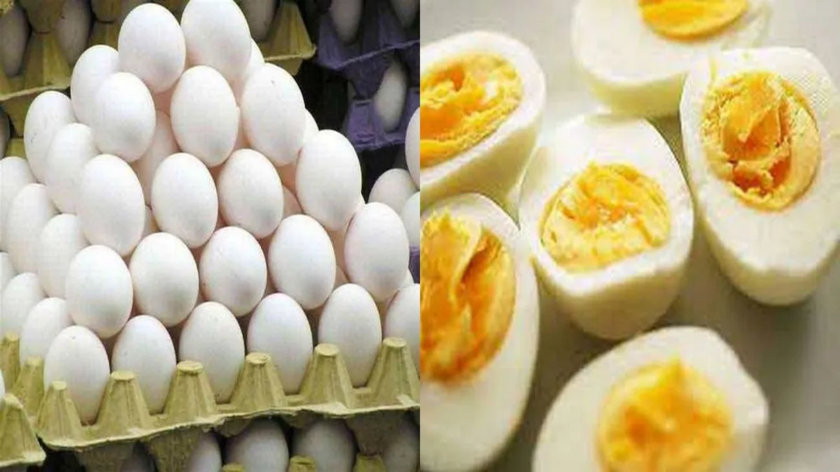 Egg Price in Ludhiana: लुधियाना में अंडे की कीमतें फिर बढ़ी। (फाइल फाेटाे)