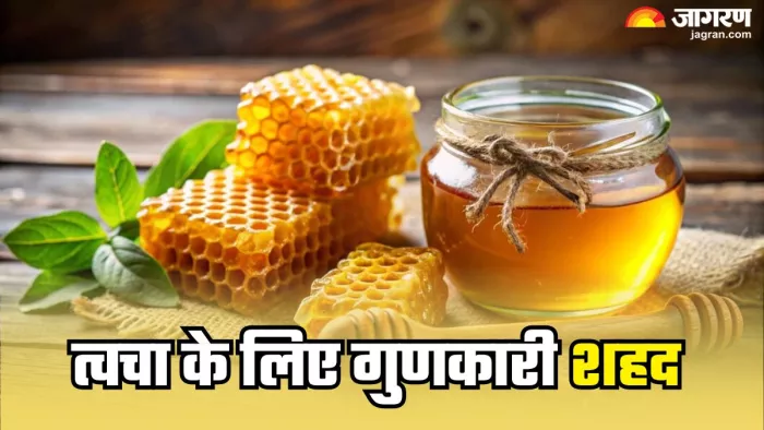 स्किन के लिए वरदान का शहद (Picture Credit- Freepik)