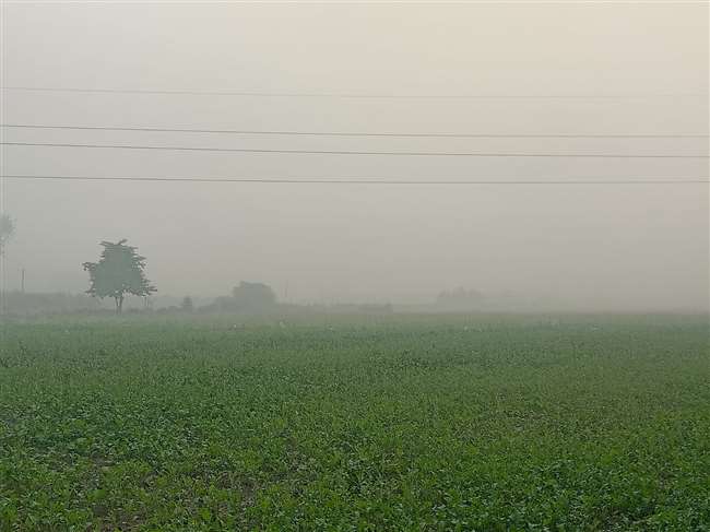 जौनपुर जिले में आसमान में जहां कोहरा छाया रहा वहीं तापमान भी गिर गया।