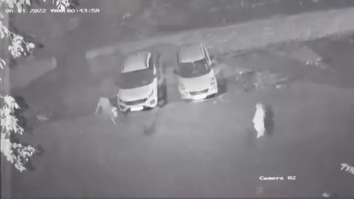 Delhi Crime: बेटे के साथ मिलकर पति का कत्ल, फिर किए शरीर के कई टुकड़े