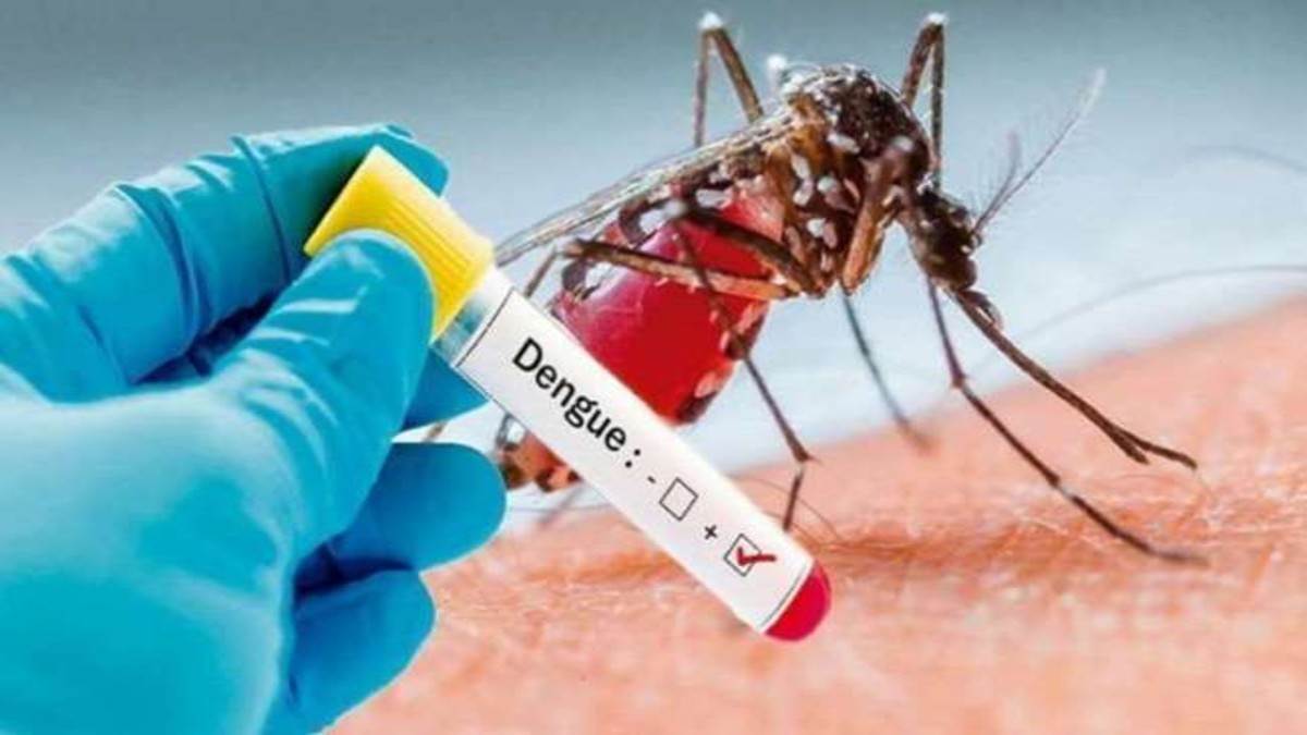 in jammu kashmir dengue cases are now on the verge of ending only 22 cases came